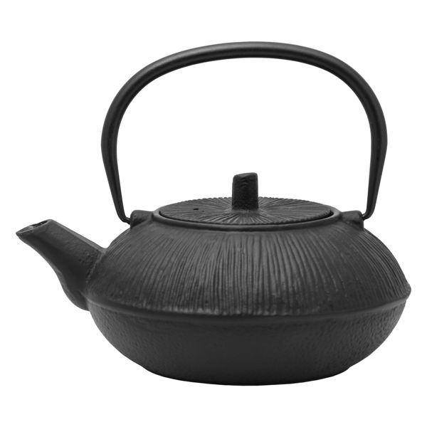 Regent - Cast Iron Chinese Teapot - Black - 800ml