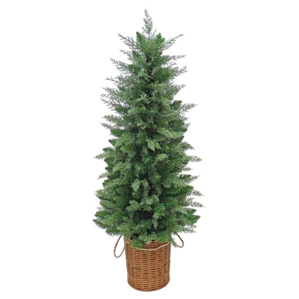 Cypress Potted Christmas Tree 1.2m