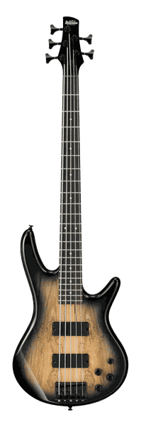 Ibanez GSR205SM-NGT 5-String Bass Guitar