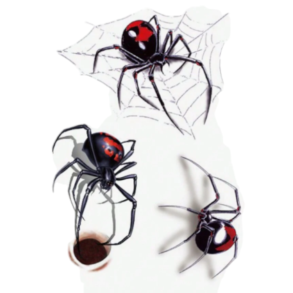 High-Quality 3D Design Realistic Spider Temporary Tattoo - Black/Red