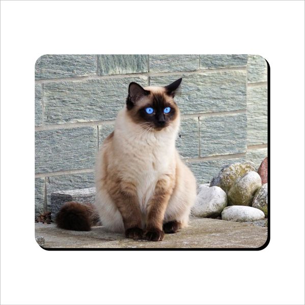 Mouse Pad - Neon Blue Eyed Cat