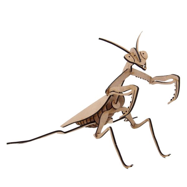 Wow We - 3D Wooden Model Insects Praying Mantis