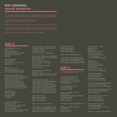 Vinyl / 12" Album image