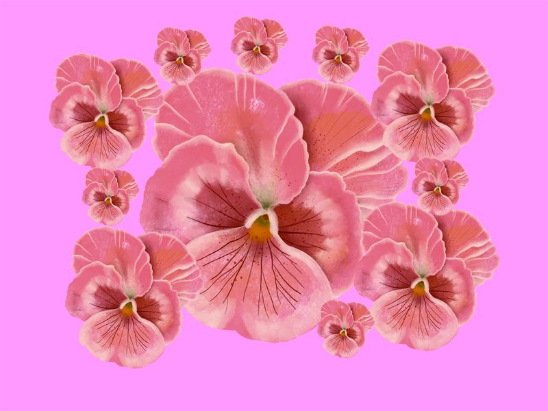 Laptop Skin Protector - Pansies - Vinyl Sticker
