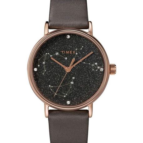 Timex hot sale swarovski watch