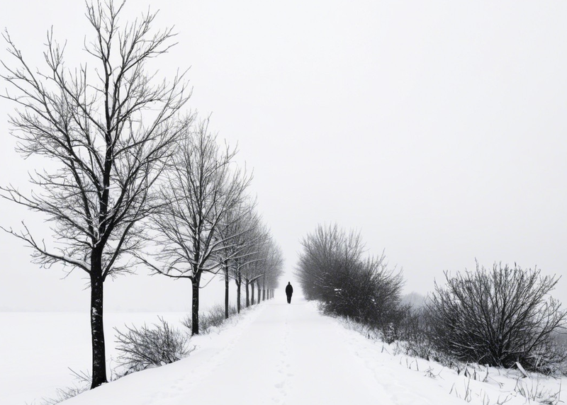Modern Canvas Wall Art Home Decor - Solo Journey