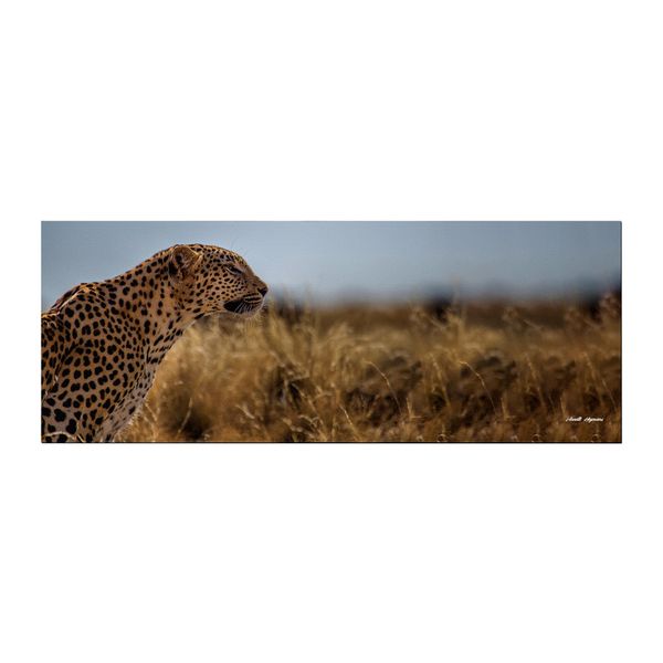 Prowling the Savannah Large Desk Pad By Annette Heymans