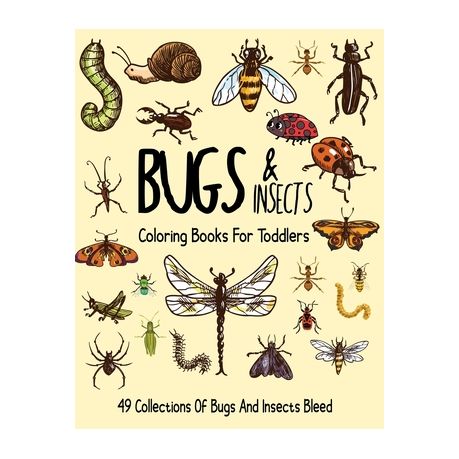 730 Online Coloring Pages Insects  Latest Free