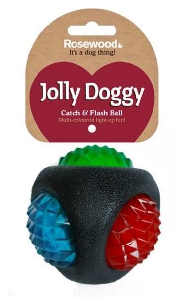 Rosewood Jolly Doggy Catch and Flash Ball