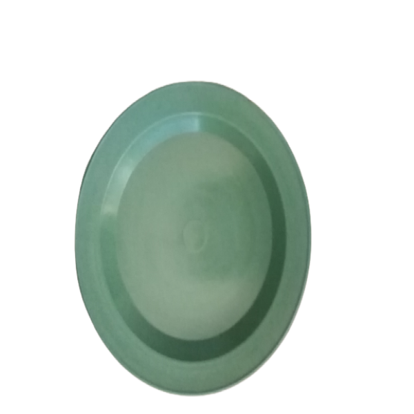 Green Dinner Plastic Plates- 20 Piece