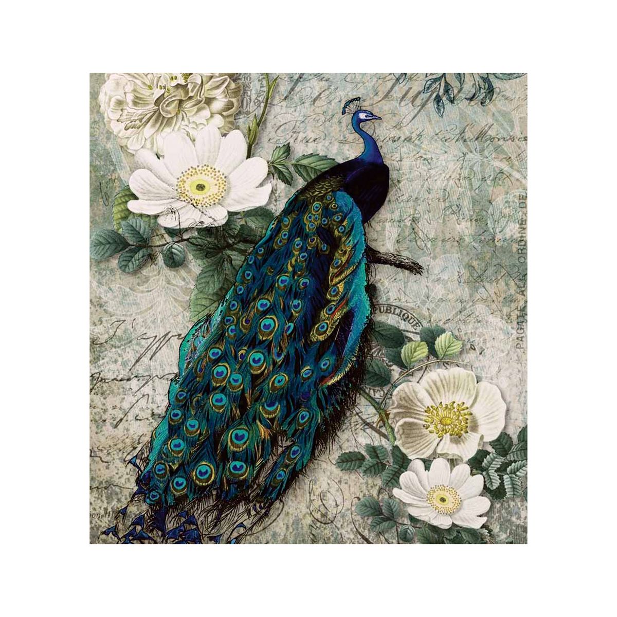 Vintage Peacock 65cm x 75cm Medium Appliance Decoupage | Shop Today ...