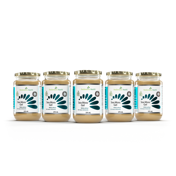 Sea Moss Gel|Ocean Gold Bundle | 375 ml X5