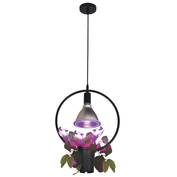 Round Metal Pendant with Plant Holder