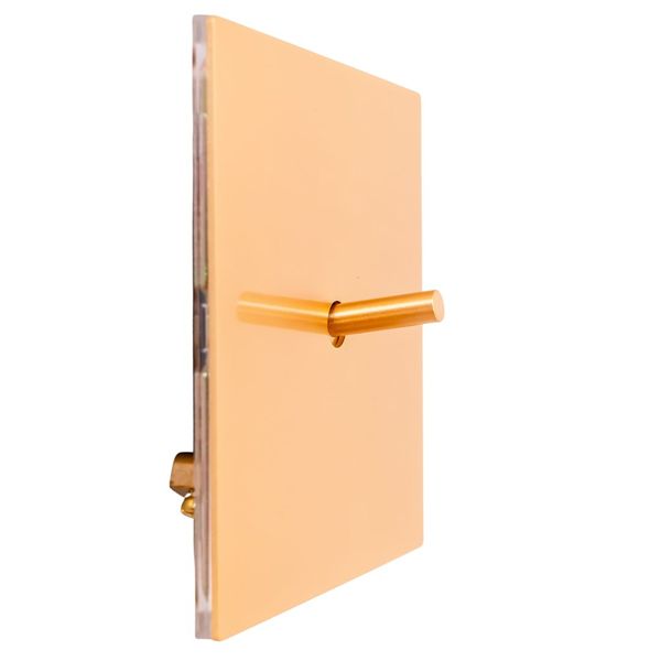 Vintage Light Switch with Toggle Lever - Single Switch - Gold