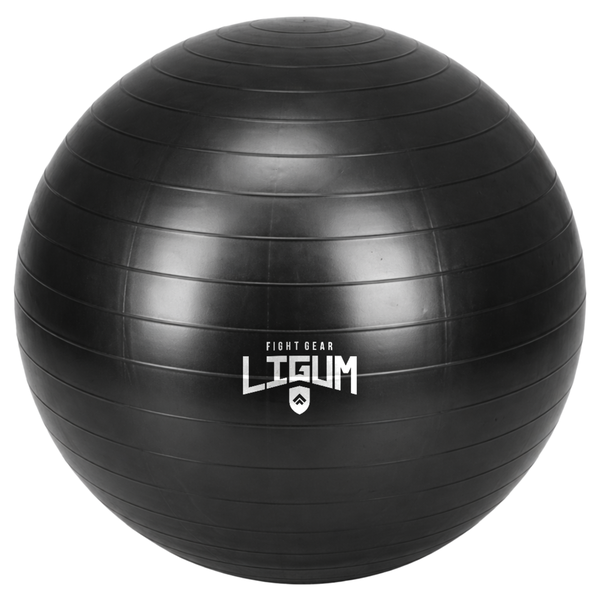 Anti-Burst Exercise Ball - Engineered for Strength, Rehab &amp; Core Control