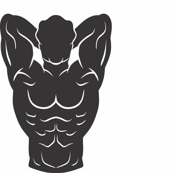 Vinyl Sticker Bodybuilder 6 Decal; Art - Decor
