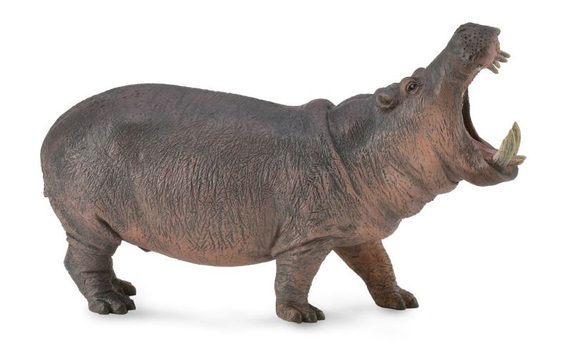Collecta Wildlife Xl Hippopotamus