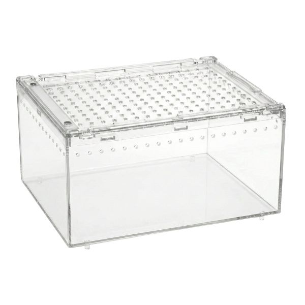 Reptile PC Terrarium Spider Tank Starter Kit - 29.7x20x14.6cm