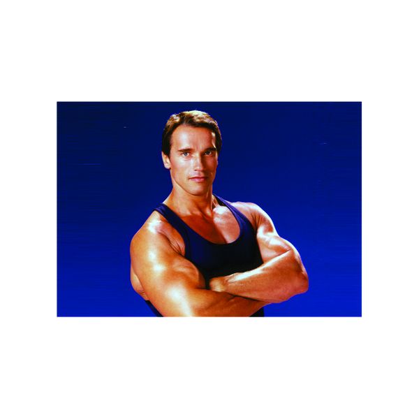 Arnold Schwarzenegger Blue - A1 poster