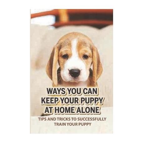 how to keep your dog happy home alone