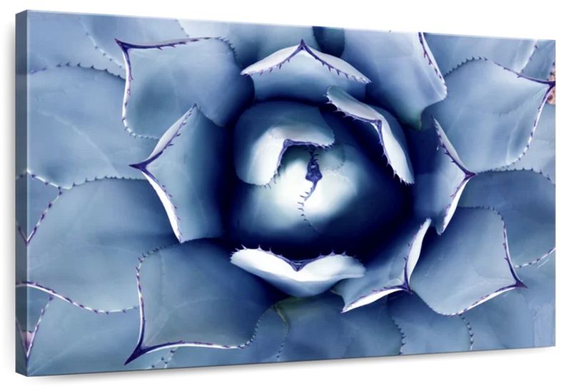 Canvas Art - Blue Agave Bloom Canvas Wall Art Living Bedroom Decor