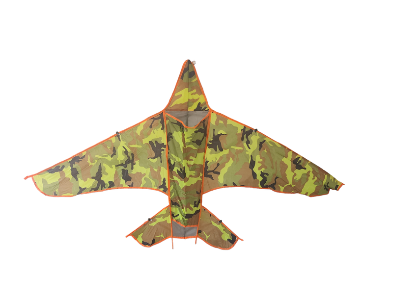 Colorful Kites for Kids
