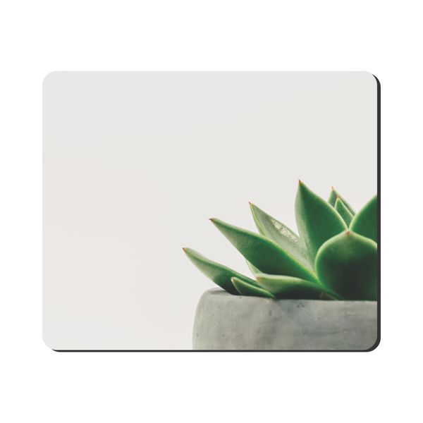 Mouse Pad - Succulent