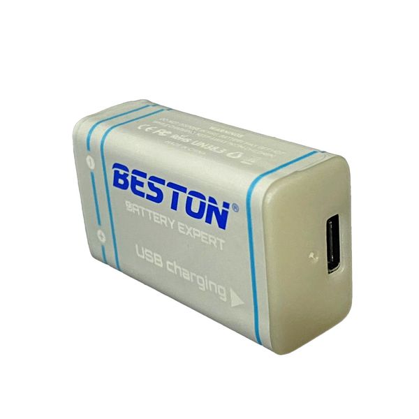 Beston 9 Volt 1000mAh Rechargeable Lithium Battery with USB Charging