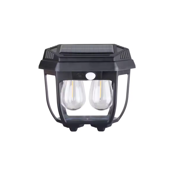 PM-091-HW 669-2W Solar Induction Wall Lamp