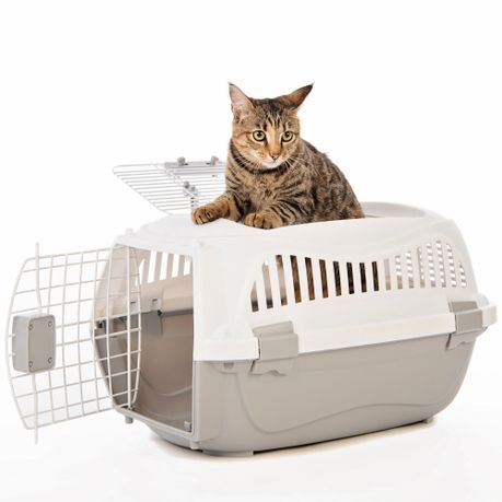 Argos medium cat outlet carrier