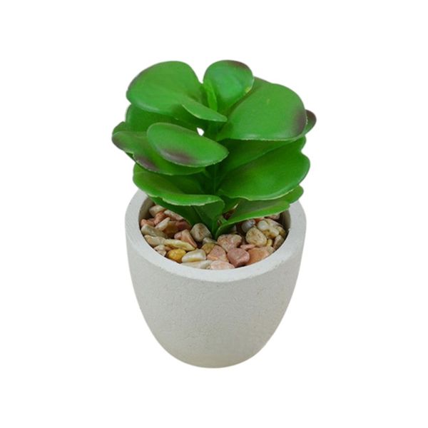 Green Potted Plant for Home &amp; Office Decor - White