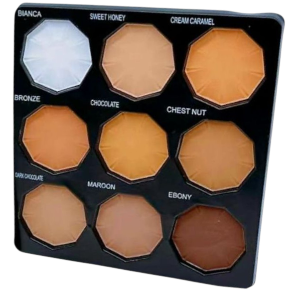 Professional HD Flawless Full Coverage Concealer and Contour Powder Palette