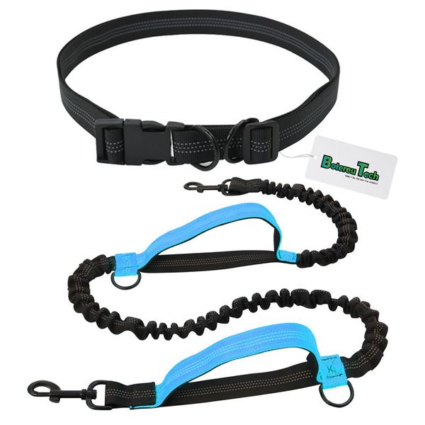 BotereuTech Dog Running Leash 150-180CM Blue