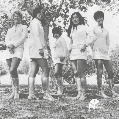 Tale of My Lost Love (Vinyl / 12" Album)