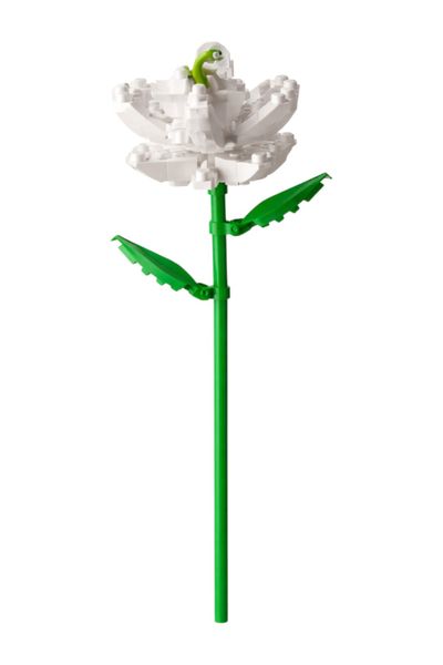 Creative DIY Rose Building Blocks Flower - White