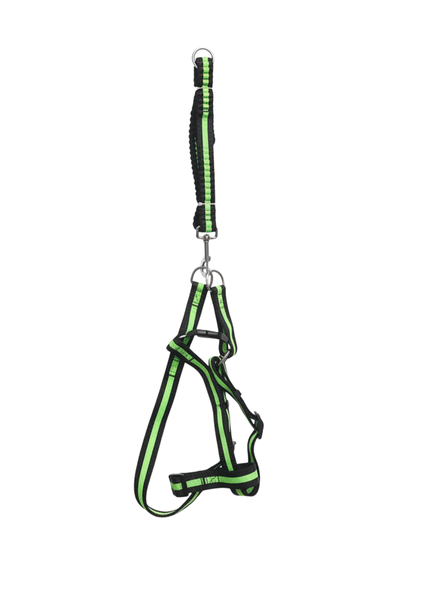 Light Woven Straps Dog Harness &amp; Lead Set - Adjustable Safe Fit in 3 Colors