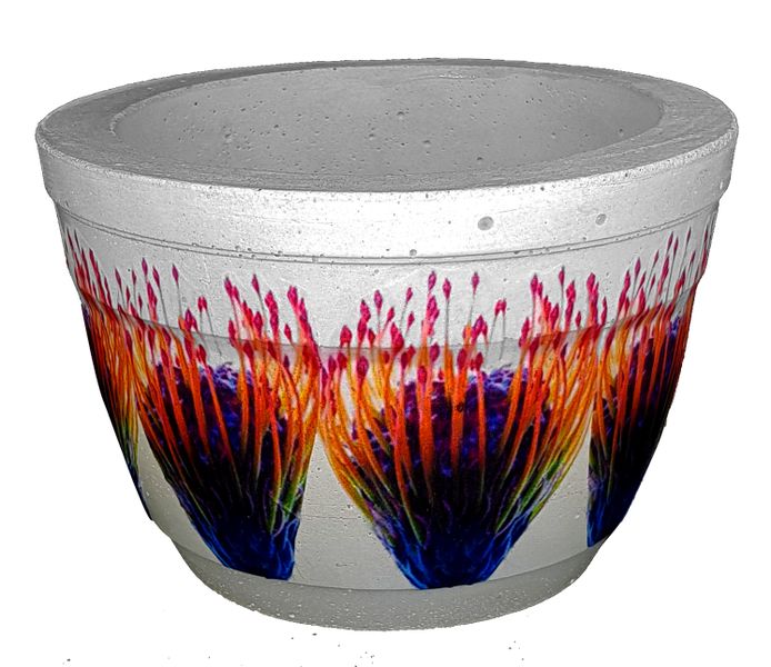 Perfectly Potty - Artisan Cement Pot - Protea - Medium