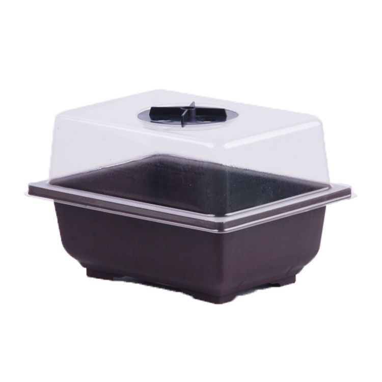 Garden Humidity Seedling & Bonsai Growth Tray With Vent In Cover Shop