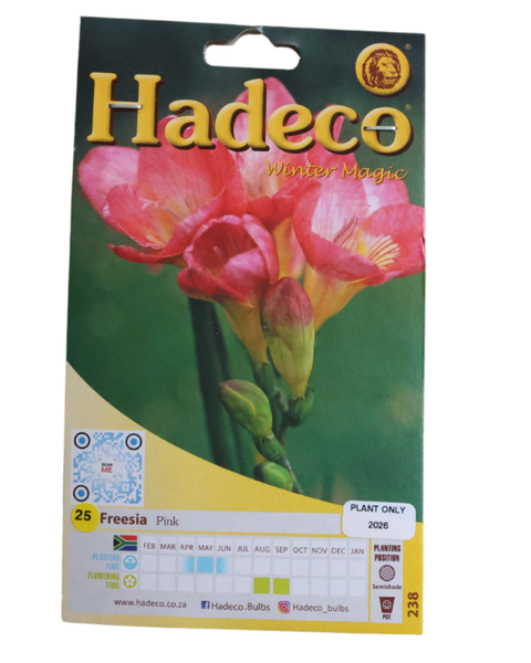 Freesias - Pink - 25 bulbs p-pack