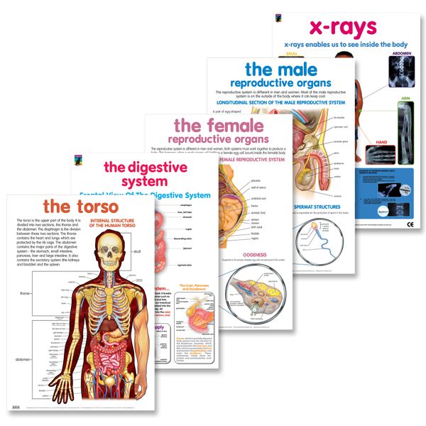 Educat 5 wall chart Basic Education Pack 7