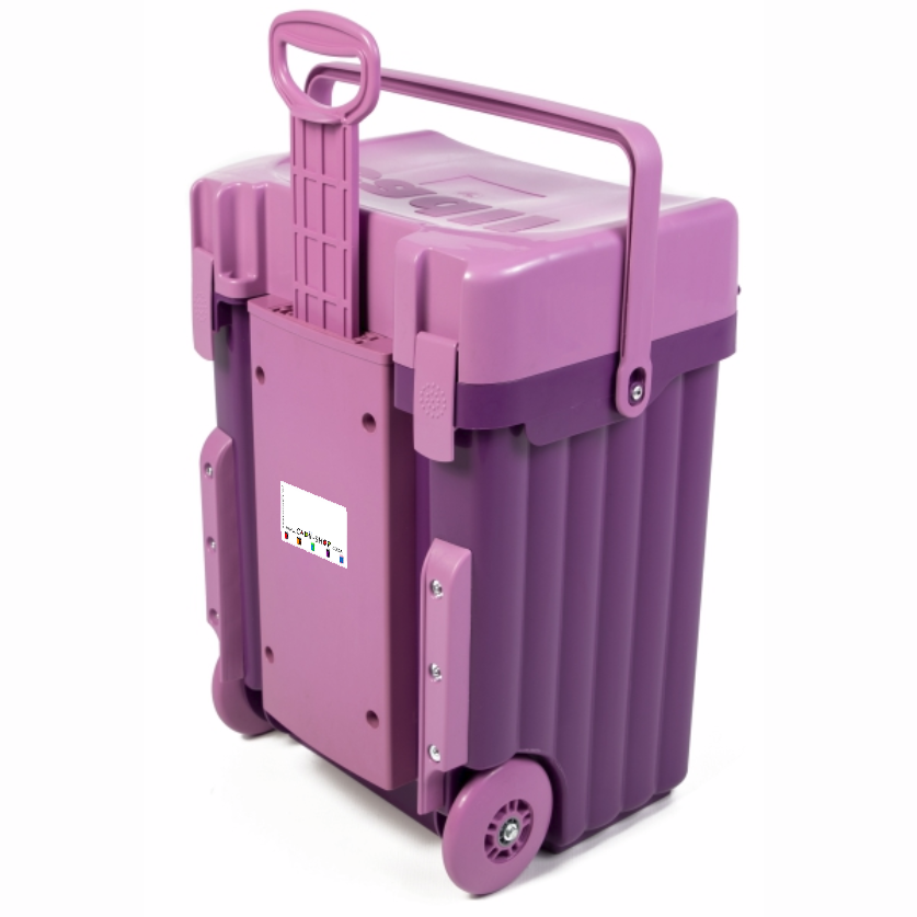Cadii Bag - CSB-0622 - Purple Body and Lilac with Dividers and Lunchbox ...