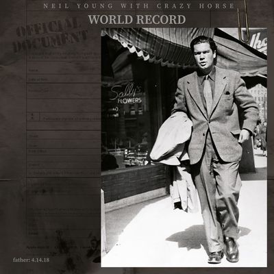 World Record (Vinyl / 12" Album)