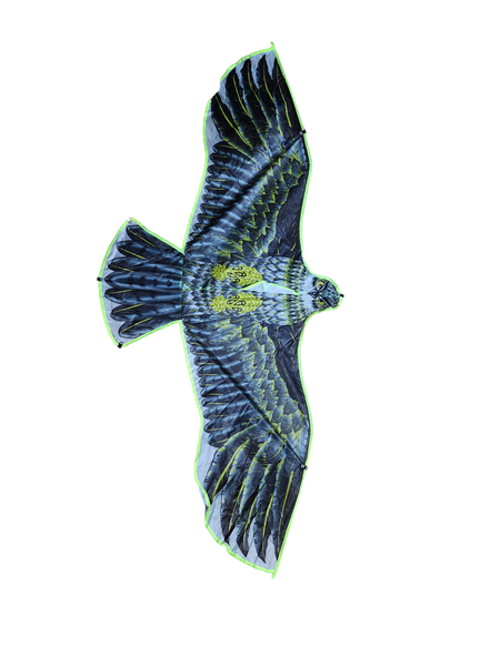 Eagle Kite for Children