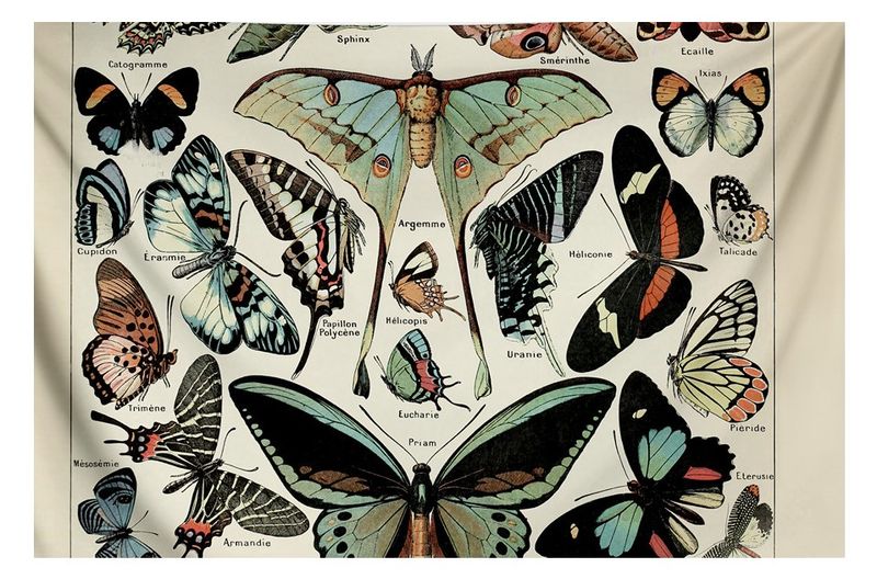 3D Printed Wall Hanging Flannel Tapestry -Assorted Butterflies - Home Decor