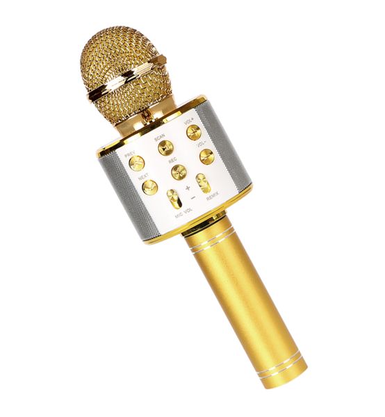 Karaoke Wireless Bluetooth Microphone WS858