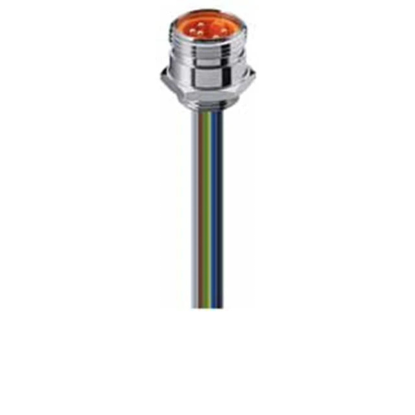 RSF 50/11-04 7/8" 5-Pole Male Mini Receptacle, 0.5m Cable, PG11 Mount
