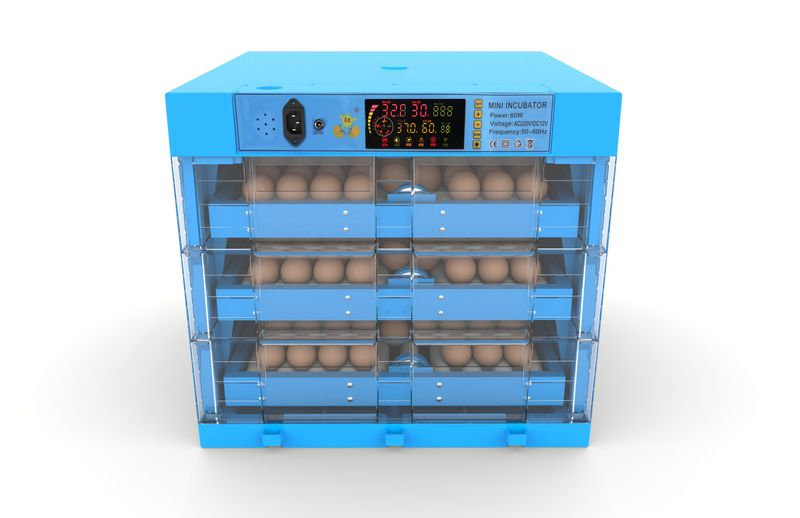 Delta Incubators - 180 Egg Automatic Incubator - Dual Voltage