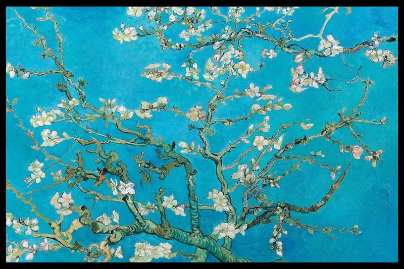 Van Gogh - Almond Blossom - Poster with Black Frame