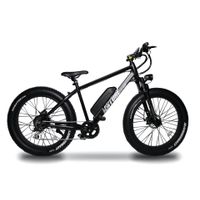 e bike buy online