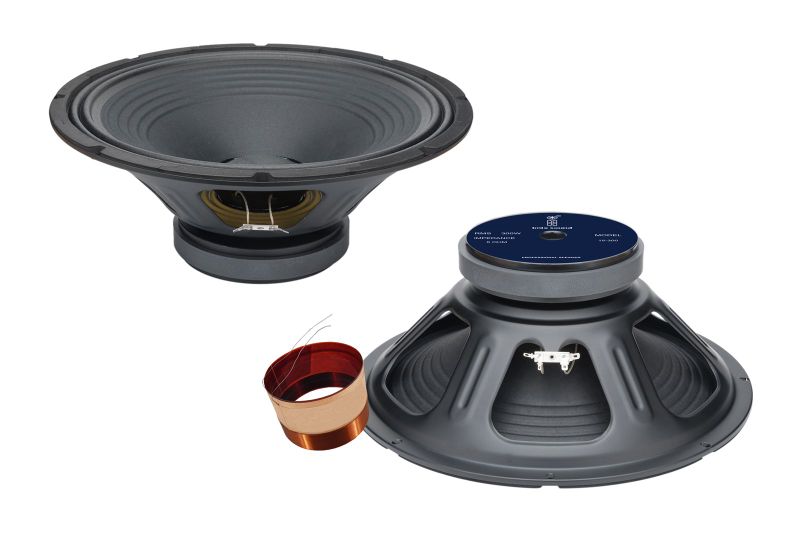 15-300 Replacment Loose Speaker 300w